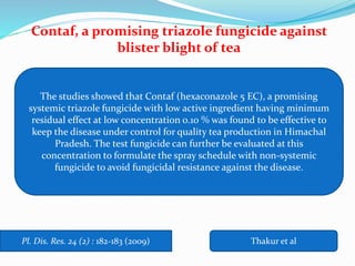 Pl. Dis. Res. 24 (2) : 182-183 (2009) Thakur et al
Contaf, a promising triazole fungicide against
blister blight of tea
The studies showed that Contaf (hexaconazole 5 EC), a promising
systemic triazole fungicide with low active ingredient having minimum
residual effect at low concentration 0.10 % was found to be effective to
keep the disease under control for quality tea production in Himachal
Pradesh. The test fungicide can further be evaluated at this
concentration to formulate the spray schedule with non-systemic
fungicide to avoid fungicidal resistance against the disease.
 