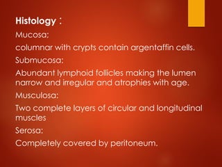 Comprehensive Overview of Acute Appendicitis and Appendix Neoplasms ...