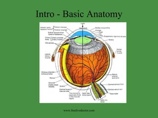 Diseases of the eye | PPT