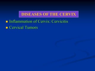 Diseases of the female genital tract | PPTX