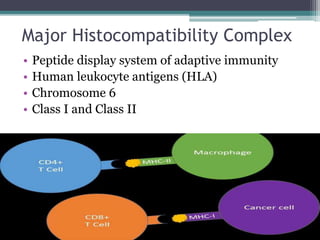 Diseases of the immune system - 1 | PPTX