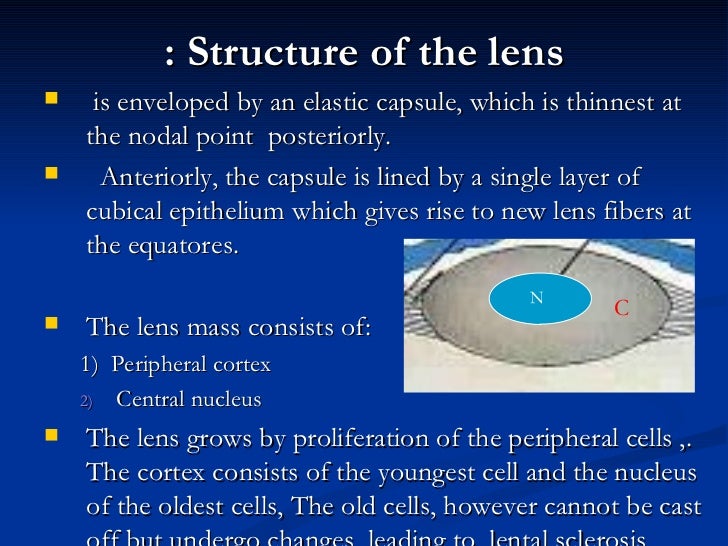 ophthalmology.Diseases of the lens.(dr.baxtyar)