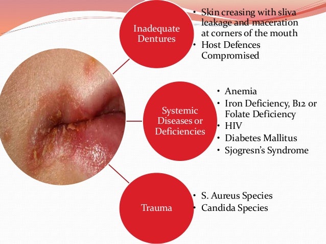 lip diseases
