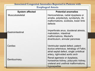 PATHOLOGY OF DISEASES OF THE OESOPHAGUS.ppt