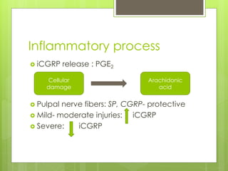 Inflammatory process
 iCGRP release : PGE2
 Pulpal nerve fibers: SP, CGRP- protective
 Mild- moderate injuries: iCGRP
 Severe: iCGRP
Cellular
damage
Arachidonic
acid
 