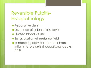 Reversible Pulpitis-
Histopathology
 Reparative dentin
 Disruption of odontoblast layer
 Dilated blood vessels
 Extravasation of oedema fluid
 Immunologically competent chronic
inflammatory cells & occasional acute
cells
 