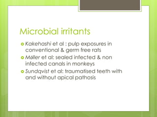 Microbial irritants
 Kakehashi et al : pulp exposures in
conventional & germ free rats
 Mӧller et al: sealed infected & non
infected canals in monkeys
 Sundqvist et al: traumatised teeth with
and without apical pathosis
 