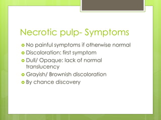 Necrotic pulp- Symptoms
 No painful symptoms if otherwise normal
 Discoloration: first symptom
 Dull/ Opaque: lack of normal
translucency
 Grayish/ Brownish discoloration
 By chance discovery
 