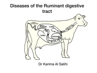 Diseases of the Ruminant digestive
tract
Dr Karima Al Salihi
 