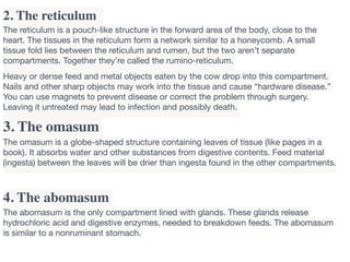 Diseases of the ruminant digestive tract | PDF