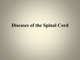 Diseases of the Spinal Cord
 