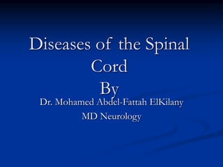 Diseases of the Spinal
Cord
By
Dr. Mohamed Abdel-Fattah ElKilany
MD Neurology
 