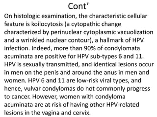 DISEASES OF THE VULVA BY PRECllllIOUS.pptx