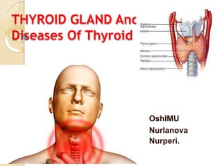 THYROID GLAND And
Diseases Of Thyroid Gland
OshIMU
Nurlanova
Nurperi.
 