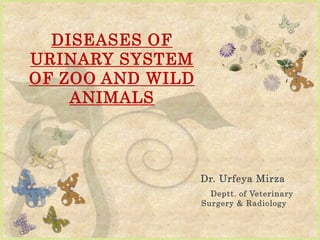 DISEASES OF
URINARY SYSTEM
OF ZOO AND WILD
ANIMALS
Dr. Urfeya Mirza
Deptt. of Veterinary
Surgery & Radiology
 