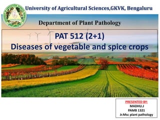 University of Agricultural Sciences,GKVK, Bengaluru
Department of Plant Pathology
PAT 512 (2+1)
Diseases of vegetable and spice crops
PRESENTED BY:
MADHU.J
PAMB 1321
Jr.Msc plant pathology
 