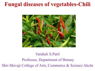 Fungal diseases of vegetables-Chili
Vaishali S.Patil
Professor, Department of Botany
Shri Shivaji College of Arts, Commerce & Science Akola
 