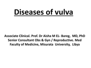 Diseases of vulva
Associate Clinical. Prof. Dr Aisha M EL- Bareg, MD, PhD
Senior Consultant Obs & Gyn / Reproductive. Med
Faculty of Medicine, Misurata University, Libya
 
