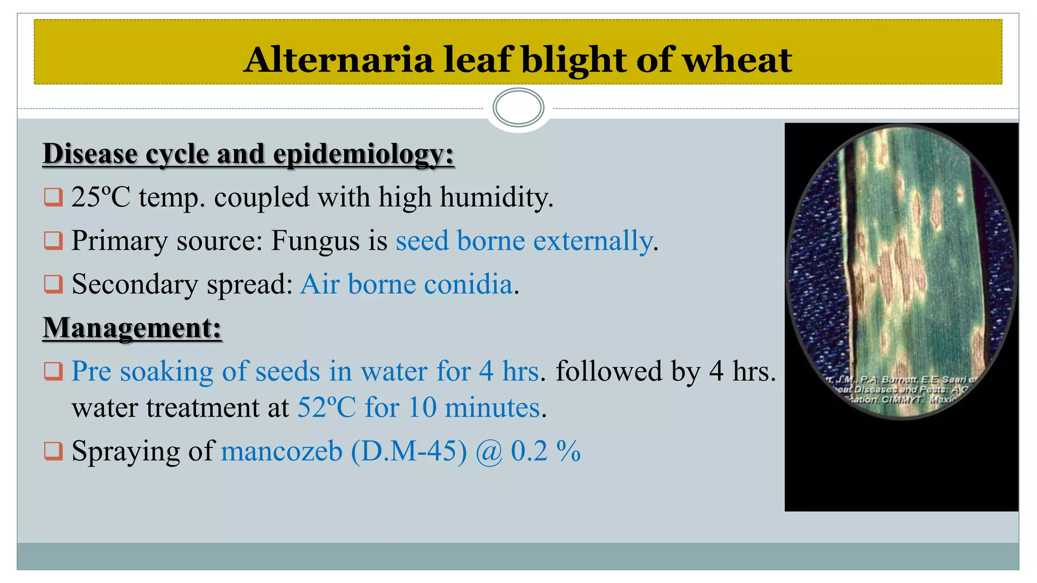 Diseases of wheat | PPTX