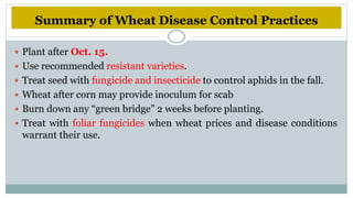 Diseases of wheat | PPTX