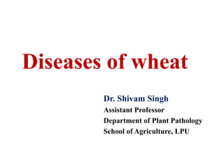 Dr. Shivam Singh
Assistant Professor
Department of Plant Pathology
School of Agriculture, LPU
Diseases of wheat
 