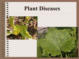 diseasespests-2013-130708184617-phpapp02.pdf