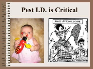 Pest I.D. is Critical
 