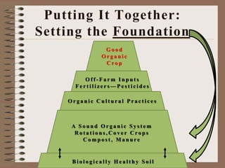 Putting It Together:
Setting the Foundation
B i o l o g i c a l l y H e a l t h y S o i l
A S o u n d O r g a n i c S y s t e m
R o t a t i o n s , C o v e r C ro p s
C o m p o s t , M a n u re
O r g a n i c C u l t u r a l P r a c t i c e s
O f f - F a r m I n p u t s
F e r t i l i z e r s — P e s t i c i d e s
G o o d
O r g a n i c
C ro p
 