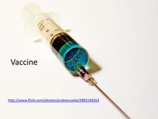 Vaccine



http://www.flickr.com/photos/andresrueda/2983149263
 