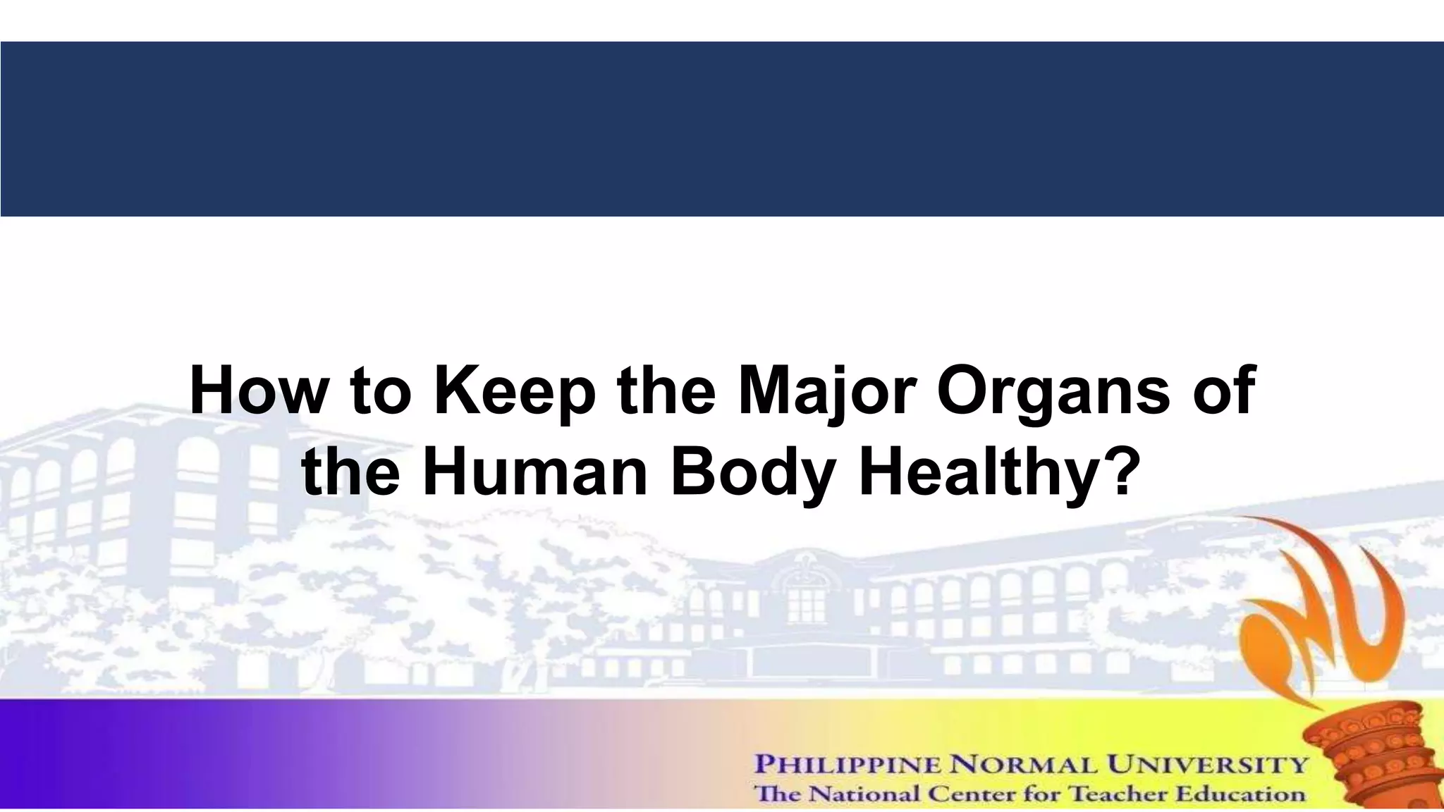 Diseases that Affect the Major Organs of the Human Body and Ways to ...