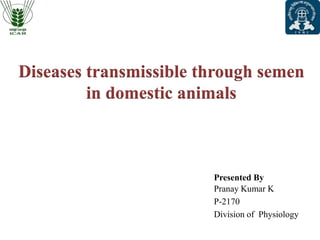 Diseases transmissible through semen
in domestic animals
Presented By
Pranay Kumar K
P-2170
Division of Physiology
 