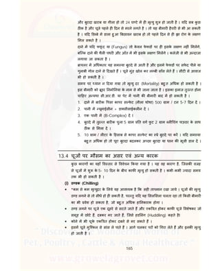 165
और बुरादा खराब या गीला हो तो 24 घ टे म ह मृ यु शु हो जाती है । य द सब कु छ
ठ क है और चूजे पहले ह दन से मरने लगते है । तो यह बीमार हैचर से भी आ सकती
है । य द ड बे म डाला हु आ बछावन खराब हो तो पहले दन से ह इस रोग के ल ण
मल सकते है ।
दाने म य द फफूं द या (Fungus) तो के वल फे फड पर ह इसके ल ण नह ं मलगे,
बि क दाने क थैल पथर और आँत म भी इसके ल ण मलगे । कलेजी से भी अ दाजा
लगाया जा सकता है ।
ायलर म अ धकतर यह सम या बुरादे से आती है और इसमे फे फड पर सफे द पीले या
गुलाबी गोल दाने से दखते ह । चूजे मुंह खोल कर ल बी साँस लेते ह । सीट से आवाज
भी हो सकती है ।
समय पर यान न दया गया तो मृ यु दर (Mortality) बहु त अ धक हो सकती है ।
इस बीमार को ूडर नमो नया के नाम से भी जाना जाता है । इसका इलाज तुर त होना
चा हए अ यथा सी.आर.डी. या पेट म पानी क बीमार बाद म हो सकती है ।
1. दाने म बार क पसा कापर स फे ट (नीला थोथा) 500 ाम / टन 5-7 दन द ।
2. पानी म यूमाईसीन + डा सीसाईकल न द ।
3. एक पानी म (B-Complex) द I
4. बुरादे म तुर त बार क चुना 5 ाम त वग फु ट 2 ाम ल चंग पाऊडर के साथ
ठ क से मला द ।
5. 10 ाम / ल टर के हसाब से कापर स फे ट का े बुरादे पर कर । य द सम या
बहु त अ धक हो तो पूरा बुरादा बदलकर अ छा बुरादा या धान क भूसी डाल द ।
13.4 चूज पर मौसम का असर एवं अ य कारक
कु छ कारण का यहाँ व तार से ववेचन कया गया है । यह वह कारण है, िजसक वजह
से चूज म शु के 5- 10 दन के बीच काफ मृ यु हो सकती है । कभी-कभी यादा समय
तक भी हो सकती है ।
(i) ठ डक (Chilling)
 *कम से कम मृ युदर के लये यह आव यक है क सह तापमान रखा जाये । चूज क मृ यु
ठ ड लगने से तो सीधे हो ह सकती है, पर तु य द यह सल सला चलता रहा तो कसी बीमार
का भी वेश हो सकता है, जो बहु त अ धक हा नकारक होगा ।
 ठ ड लगने पर चूजे एक दूसरे से सटते जाते ह और एक त होकर काफ चूजे वशेषकर जो
समूह म छोटे ह, दबकर मर जाते ह, िजसे हड लंग (Huddling) कहते हैI
 कोने म भी चूके एक त होकर दबने से मर सकते ह ।
 इसम चूजे मुि कल से सांस ले पाते ह । आगे चलकर पर को गरा लेते ह और इनक मृ यु
हो जाती है ।
 