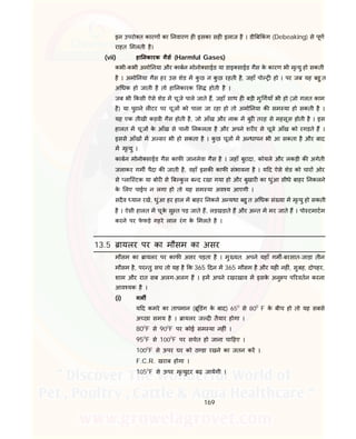 169
इन उपरो त कारण का नवारण ह इसका सह इलाज है । डी ब कं ग (Debeaking) से पूण
राहत मलती है।
(vii) हा नकारक गैस (Harmful Gases)
कभी-कभी अमो नया और काबन मोनो साईड या डाइ साईड गैस के कारण भी मृ यु हो सकती
है । अमो नया गैस हर उस शेड म कु छ न कु छ रहती है, जहाँ पो हो । पर जब यह बहु त
अ धक हो जाती है तो हा नकारक स होती है ।
जब भी कसी ऐसे शेड म चूजे पाले जाते ह, जहाँ साथ ह बड़ी मु गयाँ भी हो (जो गलत काम
है) या पुराने ल टर पर चूज को पाला जा रहा हो तो अमो नया क सम या हो सकती है ।
यह एक तीखी कड़वी गैस होती है, जो आँख और नाक म बुर तरह से महसूस होती है । इस
हालत म चूज के आँख से पानी नकलता है और अपने शर र से चूजे आँख को रगड़ते ह ।
इससे आँख म अ सर भी हो सकता है । कु छ चूज म अ धापन भी आ सकता है और बाद
म मृ यु ।
काबन मोनो साईड गैस काफ जानलेवा गैस है । जहाँ बुरादा, कोयले और लकड़ी क अगेती
जलाकर गम पैदा क जाती है, वहाँ इसक काफ संभावना है । य द ऐसे शेड को चार ओर
से लाि टक या बोर से ब कु ल ब द रखा गया हो और बुखार का धुंआ सीधे बाहर नकलने
के लए पाईप न लगा हो तो यह सम या अव य आएगी ।
सदैव यान रख, धुंआ हर हाल म बाहर नकले अ यथा बहु त अ धक सं या म मृ यु हो सकती
है । ऐसी हालत म चूके सु त पड़ जाते ह, लड़खड़ाते ह और अ त म मर जाते ह । पो टमाटम
करने पर फे फड़े गहरे लाल रंग के मलते है ।
13.5 ायलर पर का मौसम का असर
मौसम का ायलर पर काफ असर पड़ता है । मु यत: अपने यहाँ गम -बरसात-जाड़ा तीन
मौसम है, पर तु सच तो यह है क 365 दन म 365 मौसम है और यह नह ं, सुबह, दोपहर,
शाम और रात सब अलग-अलग ह । हम अपने रखरखाव म इसके अनु प प रवतन करना
आव यक है ।
(i) गम
य द कमरे का तापमान ( ू डंग के बाद) 650
से 800
F के बीच हो तो यह सबसे
अ छा समय है । ायलर ज द तैयार होगा ।
800
F से 900
F पर कोई सम या नह ं ।
950
F से 1000
F पर सचेत हो जाना चा हए ।
1000
F से ऊपर घर को ठ डा रखने का जतन कर ।
F.C.R. खराब होगा ।
1050
F से ऊपर मृ युदर बढ़ जायेगी ।
 