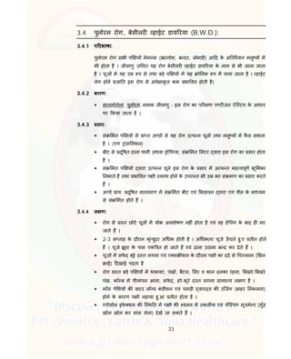 33
3.4 पुलोरम रोग, बेसीलर हाईट डाय रया (B.W.D.):
3.4.1 प रभाषा:
पुलोरम रोग सभी प य मेम स (खरगोश, ब दर, लोमड़ी) आ द के अ त र त मनु य म
भी होता है । जीवाणु ज नत यह रोग बेसीलर हाईट डाय रया के नाम से भी जाना जाता
है । चूज मे यह उ प से तथा बड़े प य म यह ो नक प म पाया जाता है । हाईट
लेग हॉन जा त इस रोग से अपे ाकृ त कम भा वत होती है।
3.4.2 कारण:
 सालमोनेला .पुलोरम नामक जीवाणु - इस रोग का पर ण ए ट जन टेि टंग के आधार
पर कया जाता है ।
3.4.3 सार:
 सं मत प य से ा त अ ड से यह रोग उ प न चूज तथा मनु य म फै ल सकता
है । (एग ांस मशन)
 बीट से दू षत दाना पानी अथवा ो पं स, सं मत लटर वारा इस रोग का सार होता
है ।
 सं मत प य वारा उ प न चूजे इस रोग के सार म अ य त मह वपूण भू मका
नभाते ह तथा भा वत प ी व थ होने के उपरा त भी उ भर सं मण का सार करते
ह ।
 अ डे ाय: दू षत वातावरण म सं मत बीट एवं बछावन वारा एग शैल के मा यम
से सं मत होते ह ।
3.4.4 ल ण:
 रोग से त छोटे चूज म योक अवशोषण नह ं होता है एवं वह हे चंग के बाद ह मर
जाते ह ।
 2-3 स ताह के दौरान मृ युदर अ धक होती है । अ धकतर चूजे ऊँ घते हु ए तीत होते
ह । चूजे ूडर के पास एक त हो जाते ह एवं दाना उठाना ब द कर देते ह ।
 चूज म सफे द भूरे द त लगना एवं ए स शन के दौरान प ी का दद से च लाना ( ल
ाई) दखाई पड़ता है
 रोग त बड़े प य म थकावट, पंख , बैटल, सर व कान ढलका रहना, बखरे- बखरे
पंख, कॉ ब म पीलापन आना, सफे द, हरे-भूरे द त लगना सामा य ल ण है ।
 माँस पे शय क वाटर लॉ ड कं डीशन एवं चमड़ी वारा व क उिजंग (बाहर नकलना)
होने के कारण प ी नहाया हु आ तीत होता है ।
 एरोसोल इंफे शन क ि थ त म प ी क वसन म तकल फ एवं गेि पंग मूवमे ट (मुँह
खोल खोल कर सांस लेना) देखे जा सकते ह ।
 