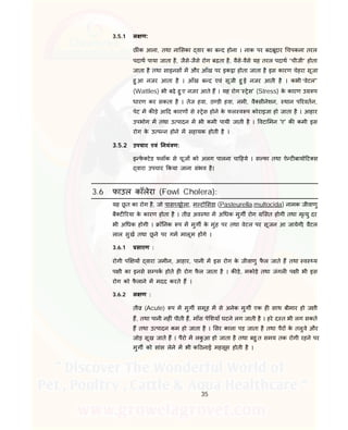 35
3.5.1 ल ण:
छ ंक आना, तथा ना सका वार का ब द होना । नाक पर बदबूदार चपकना तरल
पदाथ पाया जाता है, जैसे-जैसे रोग बढ़ता है, वैसे-वैसे यह तरल पदाथ “चीजी” होता
जाता है तथा साइनस म और आँख पर इक ा होता जाता है इस कारण चेहरा सूजा
हु आ नजर आता है । आँख ब द एवं सूजी हु ई नजर आती है । कभी “वेटल''
(Wattles) भी बढ़े हु ए नजर आते ह । यह रोग‘ ेस' (Stress) के कारण उ प
धारण कर सकता है । तेज हवा, ठ डी हवा, नमी, वै सीनेशन, थान प रवतन,
पेट म क ड़े आ द कारण से ेस होने के फल व प कोराइजा हो जाता है । आहार
उपभोग म तथा उ पादन म भी कमी पायी जाती है । वटा मन 'ए' क कमी इस
रोग के उ प न होने म सहायक होती है ।
3.5.2 उपचार एवं नयं ण:
इ फे टेड लॉक से चूज को अलग पालना चा हये । स फा तथा ऐ ट बायो ट स
वारा उपचार कया जाना संभव है।
3.6 फाउल कॉलेरा (Fowl Cholera):
यह छू त का रोग है, जो पास यूरेला, म टो सडा (Pasteurella.multocida) नामक जीवाणु
बै ट रया के कारण होता है । ती अव था म अ धक मुग रोग सत होगी तथा मृ यु दर
भी अ धक होगी । ॉ नक प म मुग के मुंह पर तथा वेटल पर सूजन आ जायेगी, वैटल
लाल सुख तथा छू ने पर गम मालूम ह गे ।
3.6.1 सारण :
रोगी प य वारा जमीन, आहार, पानी म इस रोग के जीवाणु फै ल जाते ह तथा व य
प ी का इनसे स पक होते ह रोग फै ल जाता है । क ड़े, मकोड़े तथा जंगल प ी भी इस
रोग को फै लाने म मदद करते ह ।
3.6.2 ल ण :
ती (Acute) प म मुग समूह म से अनेक मुग एक ह साथ बीमार हो जाती
ह, तथा पानी नह ं पीती ह, माँस पे शयाँ घटने लग जाती है । हरे द त भी लग सकते
ह तथा उ पादन कम हो जाता है । सर काला पड़ जाता है तथा पैर के तलुवे और
जोड़ सूख जाते ह । पैरो म लकु आ हो जाता है तथा बहु त समय तक रोगी रहने पर
मुग को सांस लेने म भी क ठनाई महसूस होती है ।
 