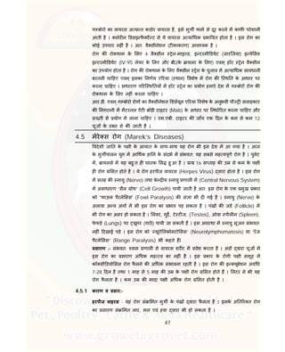 47
ग बोरो का वायरस अ य त कठोर वायरस है, इसे मुग फाम से दूर करने म काफ परेशानी
आती है । लोर न डसइ फै टै ट से ये वायरस अ या धक भा वत होता है । इस रोग का
कोई उपचार नह ं है । अत: वै सीनेशन (ट काकरण) आव यक है ।
रोग क रोकथाम के लए 4 वै सीन ेन-माइ ड, इ टरमी डयेट (जारिजया) इ वे सव
इ टरमी डयेट (IV.95 लेयर के लए और बी2के ायलर के लए) एवम ् हॉट ेन वै सीन
का उपयोग होता है । रोग क रोकथाम के लए वै सीन ेन के चुनाव म अ या धक सावधानी
बरतनी चा हए एवम ् इसका नणय ए रया ( थान) वशेष म रोग क ि थ त के आधार पर
करना चा हए । साधारण प रि थ तय म हॉट ेन का योग हमारे देश म ग बोर रोग क
रोकथाम के लए नह ं करना चा हए ।
आर.डी. एवम ् ग बोरो रोग का वै सीनेशन शङॅयूल ए रया वशेष के अनुभवी पौ सलाहकार
क नगरानी म मैटरनल ऐंट बॉडी टाइटर (Mab) के आधार पर नधा रत करना चा हए और
स ती से योग म लाना चा हए । एम.एबी. टाइटर क जाँच एक दन के कम से कम 12
चूज के र त से क जाती है ।
4.5 मेरे स रोग (Marek’s Diseases)
वदेशी जा त के प ी के आयात के साथ-साथ यह रोग भी इस देश म आ गया है । आज
के मुग पालन युग म आ थक हा न के संदभ म संभवत: यह सबसे मह वपूण रोग है । पुलेट
म, ायलस म यह बहु त ह घातक स हु आ है । ाय: 16 स ताह क उ से कम के प ी
ह रोग सत होते है । ये रोग हरपीज वायरस (Herpes Virus) वारा होता है । इस रोग
म सतह क नायु (Nerve) तथा के य नायु णाल म (Central Nervous System)
म असाधारण “सैल ोथ” (Cell Growth) पायी जाती है अत: इस रोग के एक मुख कार
को “फाऊल पैरले सस' (Fowl Paralysis) क सं ा भी द गई है । नायु (Nerve) के
अलावा अ य अंग म भी इस रोग का भाव पड़ सकता है । पंख क जड (Follicle) म
भी रोग का असर हो सकता है । लवर, गुद, टे ट ज, (Testes), ओवा पील न (Spleen),
फे फड़े (Lungs) पर यूमर (गाठ) पायी जा सकती ह । इस अव था म नायु सूजन संभवत:
नह ं दखाई पड़े । इस रोग को ‘ यूरो लकोमटो सस’ (Neurolymphomatosis) या “रज
पैरले सस” (Range Paralysis) भी कहते हI
सारण :- संभवत: वास णाल से वायरस शर र म वेश करता है । अंड वारा चूज म
इस रोग का सारण अ धक मह व का नह ं है । इस कार के रोगी प ी समूह म
कॉ सी डयो सस रोग फै लने क अ धक संभावना रहती है । इस रोग क इ यूबेशन अव ध
7-28 दन है तथा 1 माह से 5 माह क उ के प ी रोग सत होते ह । लटर से भी यह
रोग फै लता है । कम उ क मादा प ी अ धक रोग सत होती है ।
4.5.1 कारण व सार:-
हरपीज वाइरस - यह रोग सं मत मुग के पंख वारा फै लता है । इसके अ त र त रोग
का सारण सं मत लार, मल एवं हवा वारा भी हो सकता है ।
 