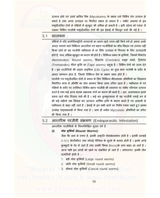 58
उ प न होने एवं उनसे ा वत वष (Mycotoxins) के भाव तले व भ रोग उ प न हो
सकते है तथा अ डा उ पादन पर वपर त भाव हो सकता है । गंभीर अव था म इन
फफूं द ज नत रोग से प य म मृ युदर भी अ धक हो सकती है । इसी उ े य को यान म
रखकर व भ परजीवी फफूं द ज नत रोग क इस ईकाई म व तृत चचा क गई है ।
5.1 तावना :
प य म य द बायो स यू रट मापद ड का समय रहते उपाय नह ं कये गये हो अथवा उनके
अ दर पनपने वाले व भ न आ त रक एवं बा य परजी वय का शी नदान एवं उपचार नह ं
कया जावे तो यह परजीवी प ीशाला म ना सफ उ पादन म गरावट के लए उ तरदायी
होते ह, वरन ्अ धक मृ युदर का कारण भी होते है । व भ न कार के कृ मय , िजनम नमेटोड
(Nematodes), Round worms, ससटोड (Costodes) लूक व स, मेटोड
(Trematodes) फ ता कृ म या (Tape worms) मुख है । व भ रोग को ज म देते
है । इन परजी वय क लाइफ साइ कल (Life Cycle) का कु छ भाग परपोषी के शर र के
अ दर स प न होता है, िजनसे व भ न रोग क ल ण कट होते ह ।
परजीवी एवं फफूं द ज नत रोग से बचाव के लए व भ न क टनाशक औष धय का छड़काव
नधा रत मा ा म औष ध का घोल बनाकर कया जाना उ चत रहता है । प ीशाला म एवं
प य के शर र पर उपि थत व भ बा य परजीवी भी वा य पर गंभीर प रणाम उ प न
करते है तथा कई अ य घातक सं ामक रोग का कारण भी बनते है । अत: आव यकता इनसे
समय रहते शी नजात पाने क है । कई बार कु कु टशाला म यह परजीवी थाई प से
भी कई मह न तक नवास कर अ य त आ थक हा न के कारण बनते है एवं आसानी से
प ीशाला से बाहर नह ं जाते है । ईकाई म इन सभी बात का वशेष यान रखते हु ए इनका
उ लेख पा यसाम ी म कया गया है । साथ ह नवीन Mycostatic औष धय का वणन
भी कया गया है ।
5.2 आ त रक परजीवी सं मण (Endoparasitic Infestation)
आ त रक परजी वय के न न ल खत मु य वग है -
(i) गोल कृ मयाँ (Round Worms):
जैसा क नाम से प ट है, इनक आकृ त गोलबेलनाकार होती है । इनक ल बाई
5-12.5 से ट मीटर तथा मोटाई पेि सल के सुरमे के बराबर होती है । इनके अ डे
कु कु ट के पेट म रहते ह तथा उनक व ठा (feces)के साथ बाहर आ जाते है ।
अ य प ी इन अ ड को खाने पर सं मत हो जाते ह । साधारणत: इनक तीन
जा तयाँ होती है :-
1. बड़ी गोल कृ मयाँ (Large round worms)
2. छोट गोल कृ मयाँ (Small round worms)
3. सीकल गोल कृ मयाँ (Caecal round worms)
 