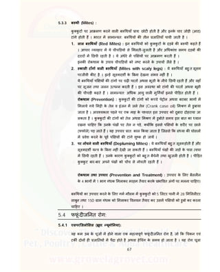 67
5.3.3 ब थी (Mites) :
कु कु ट पर आ मण करने वाल ब थयाँ ाय: छोट होती है और इनके चार जोड़ी (आठ)
टांगे होती ह । भारत म सामा यत: ब थय क तीन जा तयाँ पायी जाती है ।
1. लाल ब थयाँ (Red Mites) : इन ब थय को कु कु ट के दड़बे क ब थी कहते ह
। आचार यवहार म ये चीच ड़यो से मलती-जुलती है और अ धकांश समय दड़ब क
दरार म छपी रहती है । ये अंधेरे म प य पर आ मण करती ह ।
इनक रोकथाम के उपाय चीच ड़य को न ट करने के उपाय जैसे है ।
2. काल टाँग वाल ब थयाँ (Mites with scaly legs) : ये ब थयाँ बहु त सू म
परजीवी क ट है । इ ह सू मदश के बना देखना संभव नह ं है ।
ये ब थयाँ प य क टांग पर चढ़ परत अथवा भूसी के नीचे छपी रहती ह और वहाँ
पर सूजन तथा जलन उ प न करती ह । इस अव था को टांग क परत अथवा भूसी
क चीचड़ी कहते ह । सामा यत: अ धक आयु वाल मु गयाँ इनसे पी ड़त होती ह ।
रोकथाम (Prevention) : कु कु ट क टांग को क चे पे ोल अथवा बराबर भाग म
मलाये गये म ी के तेल व इंजन म जले तेल (Crank case oil) म ण म डुबाया
जाता है । आव यकता पड़ने पर एक माह के प चात इस उपचार को दुबारा दोहराया जा
सकता है । कु कु ट क टांग को तेल अथवा म ण म डुबोते समय इस बात का यान
रखना चा हए क उनके पंख पर तेल न पड़े, य क इससे प य के शर र पर छाले
(फफोले) पड़ जाते ह । यह उपचार ात: काल कया जाता है िजससे क सं या क घोसल
म वेश करने के पूव प य क टांगे शु क हो जाय ।
3. पर न चने वाल ब थयाँ (Depluming Mites) : ये ब थयाँ बहु त सू महोती ह और
सू मदश य के बना नह ं देखी जा सकती ह । ब थयाँ पंख क जड़ के पास वचा
म छपी रहती ह । उनके कारण कु कु ट को बहु त बैचेनी तथा खुजल होती है । पी ड़त
कु कु ट बार-बार अपने पंख को च च से नोचती रहती ह ।
रोकथाम तथा उपचार (Prevention and Treatment) : उपचार के लए बैसल न
के 4 भाग म 1 भाग गंधक मलाकर मरहम तैयार करके भा वत अंग पर मलना चा हए।
ब थय का उपचार करने के लए गम मौसम म कु कु ट को 5 लटर पानी म 28 म लल टर
साबुन तथा 150 ाम गंधक को मलाकर वलयन तैयार कर उसम प य को डुबो कर करना
चा हए ।
5.4 फफूं द ज नत रोग:
5.4.1 एसपरिजलो सस ( ूडर यूमो नया):
यह कम उ के चूज म होने वाला एक मह वपूण फफूं द ज नत रोग है, जो क चकन एवं
टक दोन ह जा तय म पैदा होते है अथवा हे चंग के समय हो जाता है । यह रोग चूजा
 