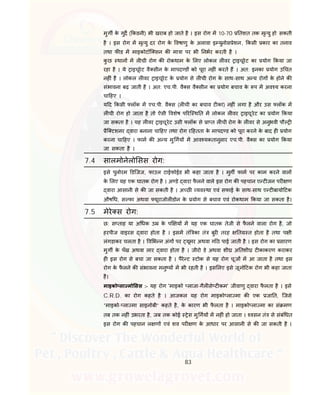 83
मुग के गुद ( कडनी) भी खराब हो जाते है । इस रोग म 10-70 तशत तक मृ यु हो सकती
है । इस रोग म मृ यु दर रोग के वषाणु के अलावा इ युनोस ेशन, कसी कार का तनाव
तथा फ ड म माइकोटॉि सन क मा ा पर भी नभर करती है ।
कु छ थान म ल ची रोग क रोकथाम के लए लोकल ल वर ाइचूरेट का योग कया जा
रहा है । ये ाइचूरेट वै सीन के मापद ड को पूरा नह ं करते ह । अत: इनका योग उ चत
नह ं है । लोकल ल वर ाइचूरेट के योग से ल ची रोग के साथ-साथ अ य रोग के होने क
संभावना बढ़ जाती है । अत: एच.पी. वै स वै सीन का योग बचाव के प म अव य करना
चा हए ।
य द कसी लॉक म एच.पी. वै स (ल ची का बचाव ट का) नह ं लगा है और उस लॉक म
ल ची रोग हो जाता है तो ऐसी वशेष प रि थ त म लोकल ल वर ाइचूरेट का योग कया
जा सकता है । यह ल वर ाइचूरेट उसी लॉक से ा त ल ची रोग के ल वर से अनुभवी पौ
ैि टशनर वारा बनाना चा हए तथा रोग र हतता के मापद ड को पूरा करने के बाद ह योग
करना चा हए । फाम क अ य मु गय म आव यकतानुसार एच.पी. वै स का योग कया
जा सकता है ।
7.4 सालमोनेलो सस रोग:
इसे पुलोरम डिजज, फाउल टाईफोईड भी कहा जाता है । मुग फाम पर काम करने वाल
के लए यह एक घातक रोग है । अ डे वारा फै लने वाले इस रोग क पहचान ए ट जन पर ण
वारा आसानी से क जा सकती है । अ छ यव था एवं सफाई के साथ-साथ ए ट बायो टक
औष ध, स फा अथवा यूराजोल डोन के योग से बचाव एवं रोकथाम कया जा सकता है।
7.5 मेरे स रोग:
छ: स ताह या अ धक उ के प य म यह एक घातक तेजी से फै लने वाला रोग है, जो
हरपीज वाइरस वारा होता है । इसम तं का तं बुर तरह त त होता है तथा प ी
लंगड़ाकर चलता है । व भ न अंग पर यूमर अथवा गाँठे पाई जाती है । इस रोग का सारण
मुग के पँख अथवा लार वारा होता है । जीरो डे अथवा शी अ तशी ट काकरण कराकर
ह इस रोग से बचा जा सकता है । पैरे ट टोक से यह रोग चूज म आ जाता है तथा इस
रोग के फै लने क संभावना मनु य म भी रहती है । इस लए इसे जूनो टक रोग भी कहा जाता
है।
माइको ला मो सस :- यह रोग 'माइको लाजा-गैल से ट कम' जीवाणु वारा फै लता है । इसे
C.R.D. का रोग कहते है । आजकल यह रोग माइको ला मा क एक जा त, िजसे
“माइको- ला मा साइनोबी” कहते है, के कारण भी फै लता है । माइको ला मा का सं मण
तब तक नह ं उभरता है, जब तक कोई ेस मु गय म नह ं हो जाता । वसन तं से संबं धत
इस रोग क पहचान ल ण एवं शव पर ण के आधार पर आसानी से क जा सकती है ।
 