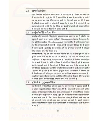 84
7.6 ए परिजलो सस:
ए पर िजलो सस यू मगेटस नामक “मो ड” से यह रोग होता है । चकन तथा टक दोन
म यह रोग होता है । चूजे पैदा होते ह अथवा है चंग के समय ह रोग सत हो जाते ह
तथा एक स ताह बाद उनम रेिज टे स आ जाती है । रोगी प ी खाना छोड़ देते है, वास
म क ठनाई महसूस करते है । आँख म भी अ सर रोग हो जाता है, वे सूज जाती ह तथा
अंधापन हो जाता है । य द रोग मुँह, े कया या “ ोकाई'' म हो तो भार आवाज क ठनाई
से सांस लेना तथा गले से रैट लंग क आवाज आती है ।
7.7 पाईरो कटो सस- टक फ वर:
यह ती इ फै शन रोग है, िजसम शर र का तापमान बढ़ जाता है । चाल म प रवतन तथा
लकु आ हो जाता है । यह “अरगस परसीकस'' (Agus.persicus) नामक टक वारा होता
है । “बोर लया ए सर ना” (Borrelia.anserina) एक पाईरोक ट है, जो टक वारा फै लता
है । रोग अ डे वारा भी हो सकता है । म छर, म खी तथा अ य क ड़े इस रोग के सारण
म सहायक होते है । इ फे टेड टक लगभग 3 वष तक इ फे ि टव रह सकती है, य द उसे
उ चत तापमान (95 ०
F) मलता रहे ।
कॉ सी डयो सस :- यह एक कार का घातक परजीवी रोग है । जो छोटे चूजे कम उ क
मु गय अथवा कसी भी उ पर देखा जा सकता है । यह रोग एक ोटोजोआ, िजसे
“आई म रया'' भी कहा जाता है, के वारा होता है । आई म रया क व भ न जा तयाँ इस
रोग को करने म स म है । आँत एवं सकम म कॉ सी डया उ स ट क वृ के कारण इन
अंग के अ द नी सतह म छ हो जाते ह, िजससे र त बहता है और यह र त बीट के
साथ मलकर दखाई देता है । ो नक कॉ सी डयो सस म मुग को खूनी द त लग जाते ह
। उ पादन कम हो जाता है तथा प ी क मृ यु हो जाती है । योगशाला म सं मत प ी
क नय मत बीट क जाँच वारा इस रोग का पता ारि भक अव था म लग सकता है ।
माइ ो कोप वारा पर ण करने पर आइ म रया उ स ट बीट म दखलाई देते ह । इस रोग
का भावी उपचार कॉ सी डयो टेट औष धयाँ देकर कया जा सकता है ।
7.8 मु गय मे यूबरकु लो सस:
इस बीमार को “ पोटेड लवर” भी कहा जाता है । यह एक कार क सं ामक बीमार है,
जो जीवाणु “माइको बै ट रयम-ए वयम” वारा होती है । इस रोग क पहचान इसक ो नक
अव था, ल बे समय तक लोप म बने रहना, अ डा उ पादन म लगातार गरावट एवं अ त
म कमजोर होकर मृ यु के प म होती है । इस रोग का सारण वा तव म दू षत वातावरण
के कारण माना जाता है । लटर अथवा म ी म इस जीवाणु के बे सलाई ल बे समय तक
पाये जा सकते है तथा कभी भी अपना उ त प धारण कर सकते है । बदलते मौसम एवं
वतमान पा रि थ तक के कारण यह रोग थान वशेष पर मुग शालाओं म तेजी से उभरकर
आ रहा है ।
 