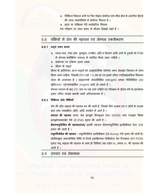 95
 व भ न वसरल अंग पर पन पोइ ट हेमोरेज तथा क ल बोन के आंत रक ह से
क तरफ मांसपे शय म हेमोरेज मलता है ।
 दय पर फे नस पेर काडाइ टस मलना
शव पर ण पर उ त कार के ल जन दखाई पड़ते है ।
8.8 प य म रोग क पहचान एवं से पल एक ीकरण
8.8.1 नमूने एक करना
 वास नाल, ऐयर सेक, फु फु स, ल न, आँत व दमाग आ द अंग के टुकड़ को PSB
म से पल कलेि टंग वाय स म एक त कया जाना चा हये ।
 लोएका एवं े कया वारा वाब
 सीरम के नमूने
सीरम के अ त र त अ य नमून को आइसोटो नक फॉ फे ट बफर सेलाईन वलयन म एक
कया जाना चा हये, िजसक Ph7.0से 7.4 तक हो एवं इसम उ चत ए ट बाईओ टक मलाया
जाना भी आव यक है । उदाहरणाथ जे टा म सन 50mg/ml अथवा पे न स लन 200
यू नट/ml./ े टोमाइ सन 2mg/ml आ द हो सकते है ।
से पल एक ण के बाद 4
o
C ताप पर रखे जाने चा हये एवं प रवहन के दौरान बफ के इ तेमाल
वारा उ चत ठ डक बनायी जानी अ तआव यक है ।
8.8.2 व भ न जाँच व धयाँ
रोग क जाँच वाइरस क पहचान कर क जाती है, िजसके लए वसन तं व आँत के उ तक
ाव तथा ए स टा (बीट) आ द उपयोग म आते है ।
वायरस क पहचान अगार जेल इ यूनो ड यूजन टे ट (AGID) तथा एंजाइम लं ड
इ यूनोएबसारबट ऐसे (ELISA) वारा क जाती है ।
ह मएगलु ट नन क पहचान(HA) इसक पहचान ह मएगलु ट नन इन हबीशन टे ट (HI)
वारा क जाती है ।
यूरा मनीडेज क पहचान : यूरा मनीडेज इन हबीशन (NI-Assay) ऐसे वारा क जाती है।
मोल यूलर डाय नो सस व ध से रचड ांस शन पॉल मरेज चेन रए शन (RT-PCR)
वारा लू वाइरस क पहचान के साथ ह व श ट सब टाईप H5 अथवा H7 क पहचान क
जाती है ।
8.9 उपचार एवं रोकथाम
 