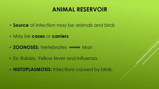 Disease transmission and cycle