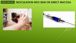 Disease transmission and cycle