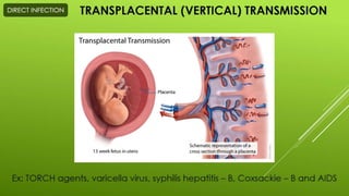 Disease transmission and cycle