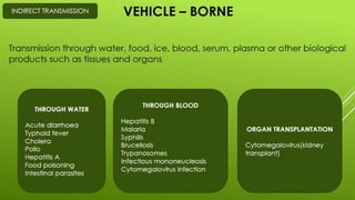 Disease transmission and cycle
