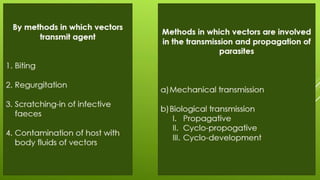 Disease transmission and cycle