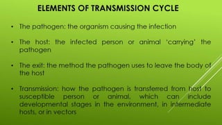 Disease transmission and cycle