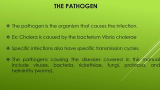 Disease transmission and cycle