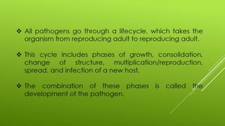 Disease transmission and cycle