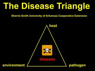 The Disease Triangle
Sherrie Smith University of Arkansas Cooperative Extension
host
pathogen
environment
disease
 